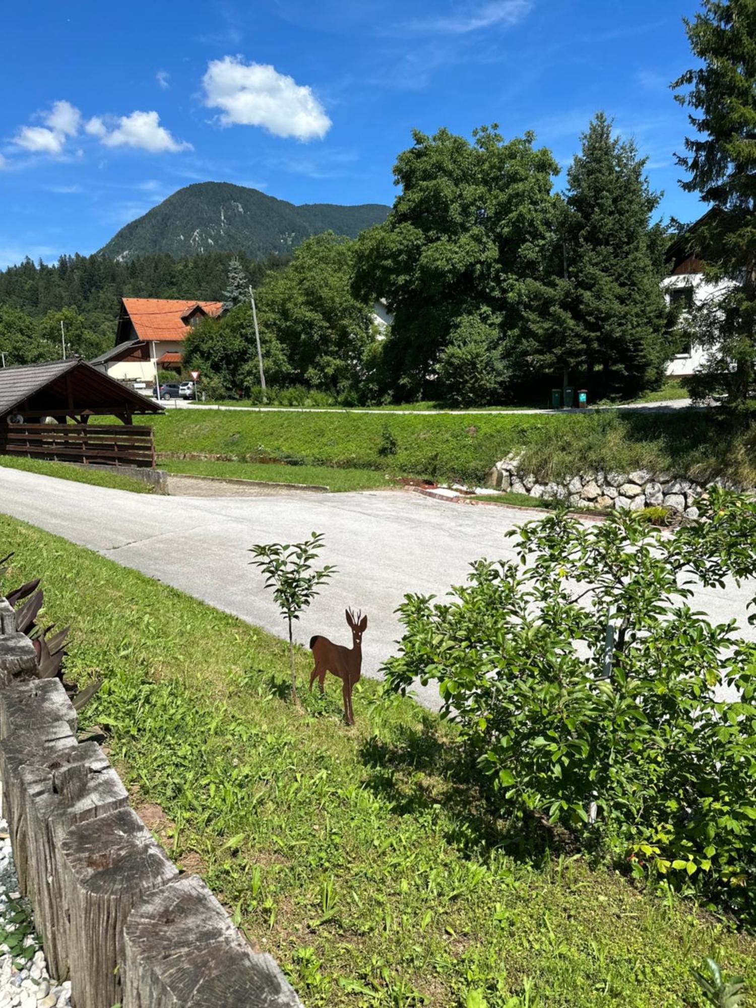 Apartamento Hisa Sreco Begunje na Gorenjskem Exterior foto